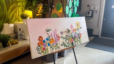 Behind the Scenes: Say Hello Abbotsford Project